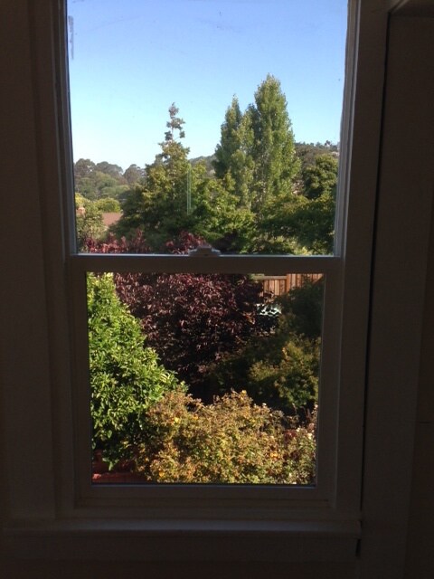 View from bedroom - 946 Sonoma St