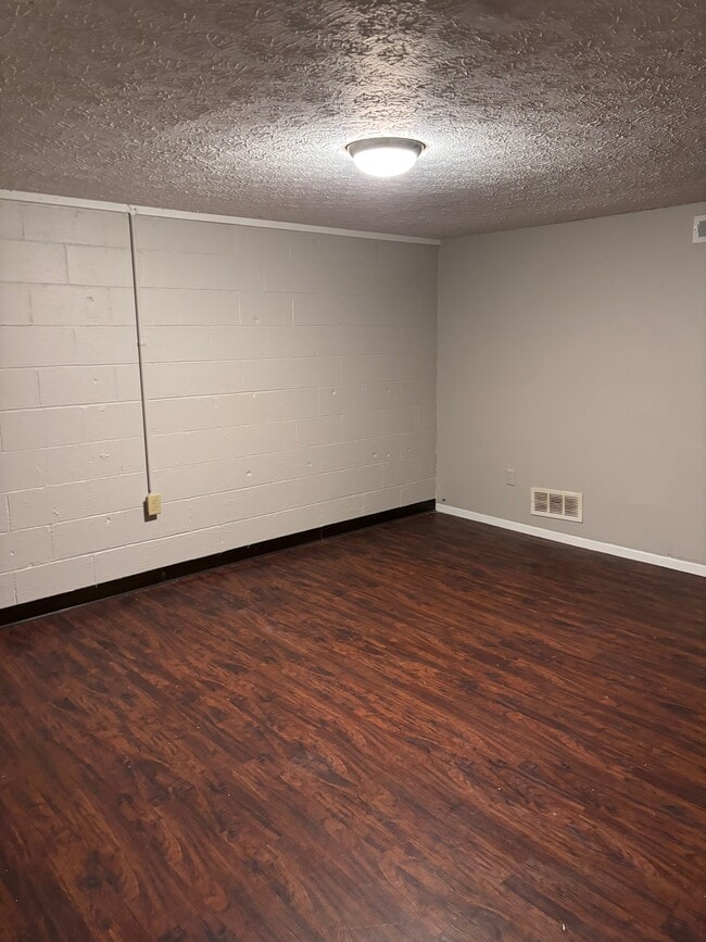Bonus room in basement - 7320 Fall Creek Ln