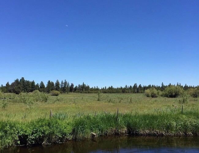 Building Photo - Adorable Cabin on the River
