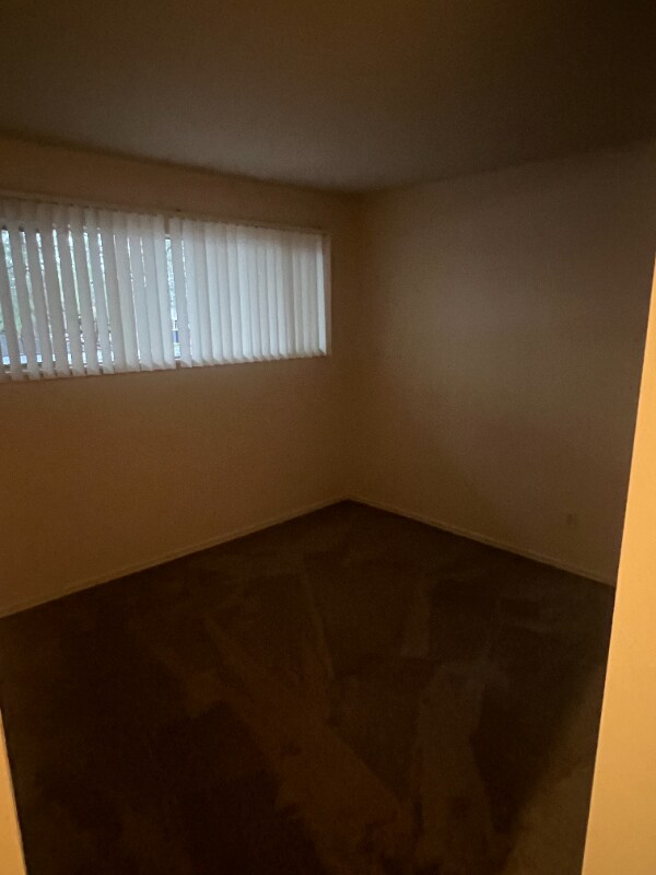 Building Photo - 1020 Dolores St