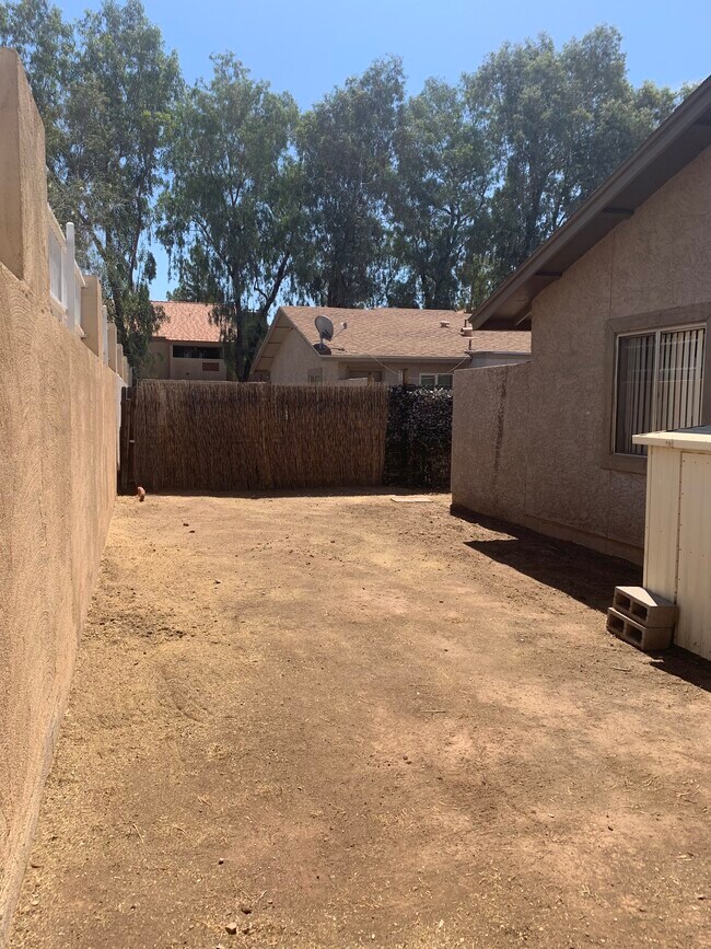 Back Yard - 1308 W 3rd St