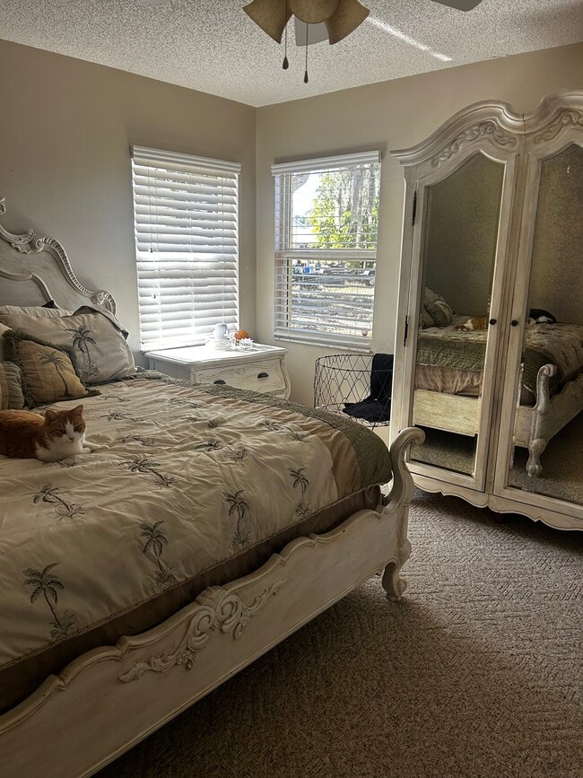 Building Photo - 1136 Peach Tree Dr