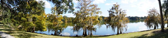 Building Photo - Downtown Orlando with Lake Davis Views!