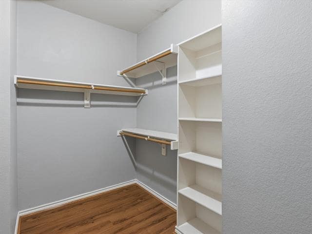 Building Photo - 408 Cave River Dr