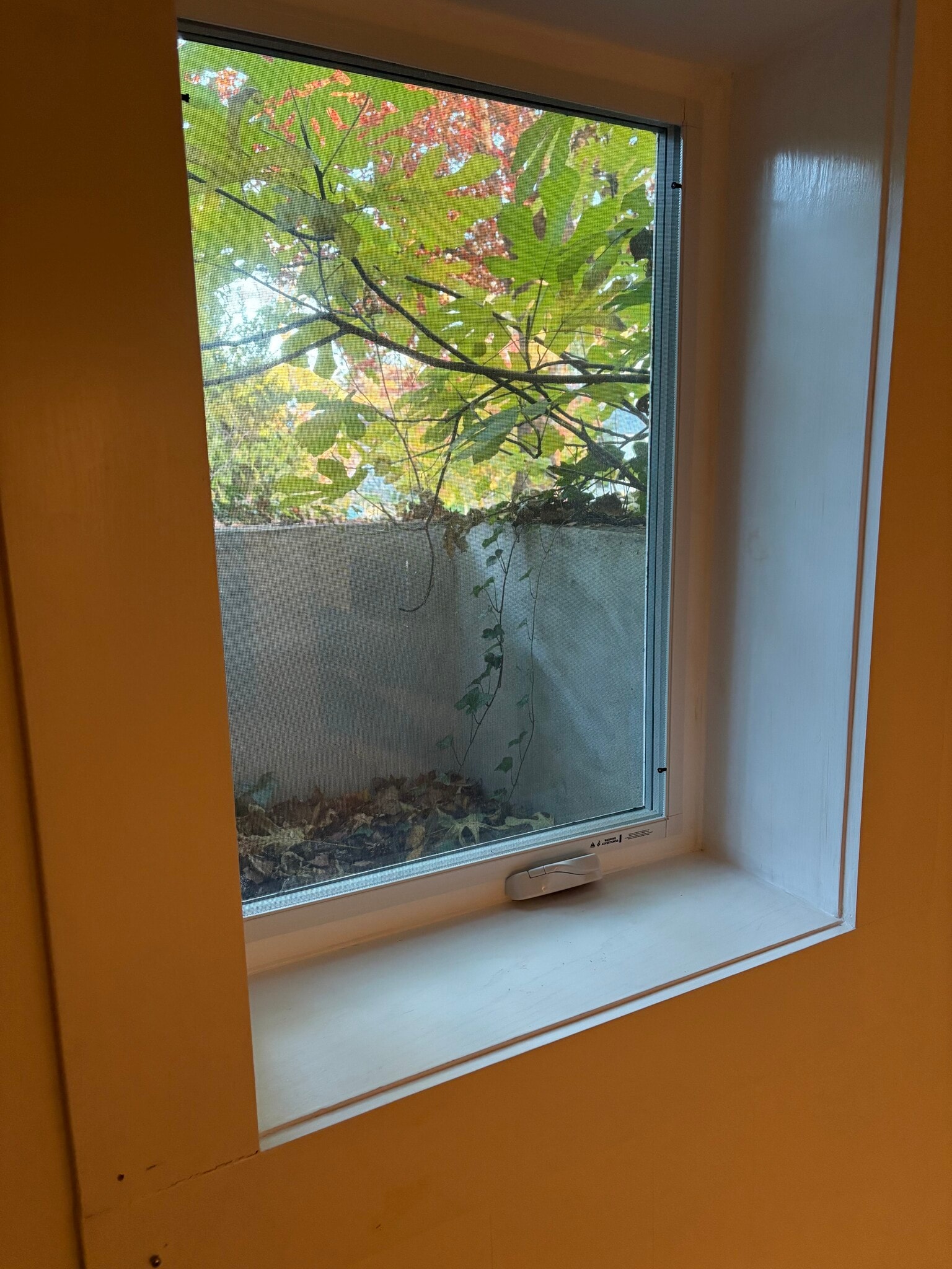 Building Photo - 22 Kentbury Way