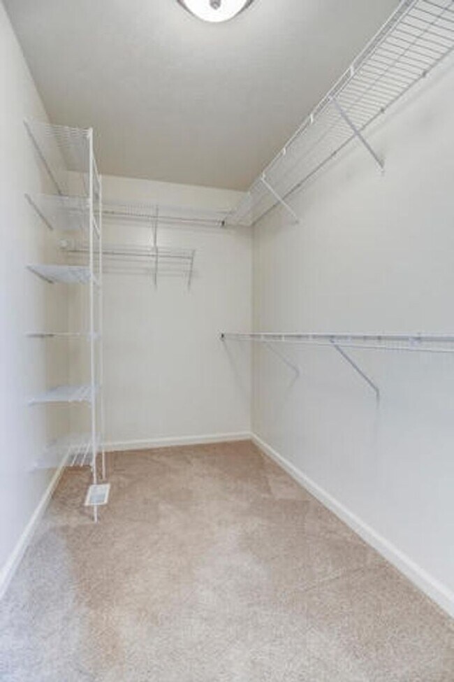 Building Photo - Beautiful 5 bed, 4 bath-Prairie Crossing, Mahomet - AVAILABLE NOW