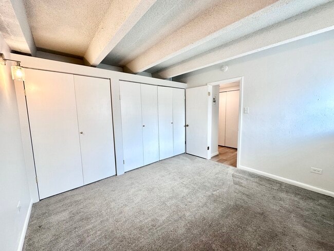 Bright and spacious bedroom with modern white closets and plush carpeting, offering a serene living space. - Columbine Plaza