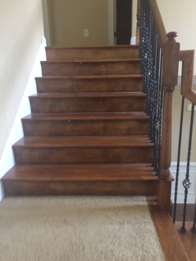 Stairs leading to upstairs - 319 Haywood Dr