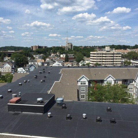 Balcony view to the North - 444 Bedford Street