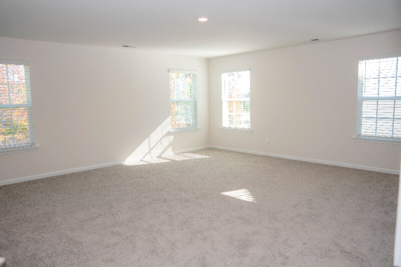 Building Photo - 217 Giant Oak Ave