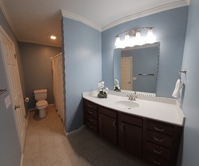 Building Photo - 3041 Forest Line Dr