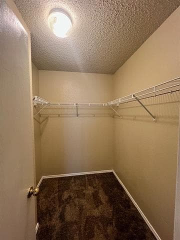 Building Photo - 1836 Vineridge Ln