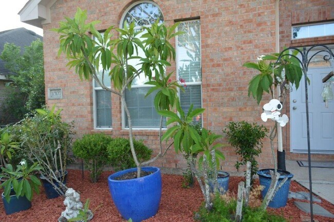 Building Photo - 10107 Olive Mount St