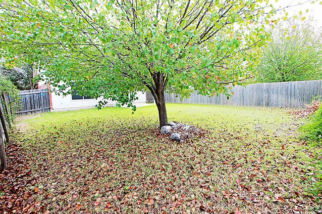 Building Photo - South Austin Home w/ Kitchen Island, Vaulted Ceilings & Mature Trees