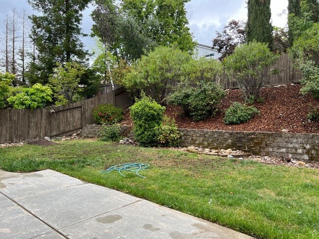 Building Photo - Beautiful 4 Bedroom 3 Bathroom in Folsom