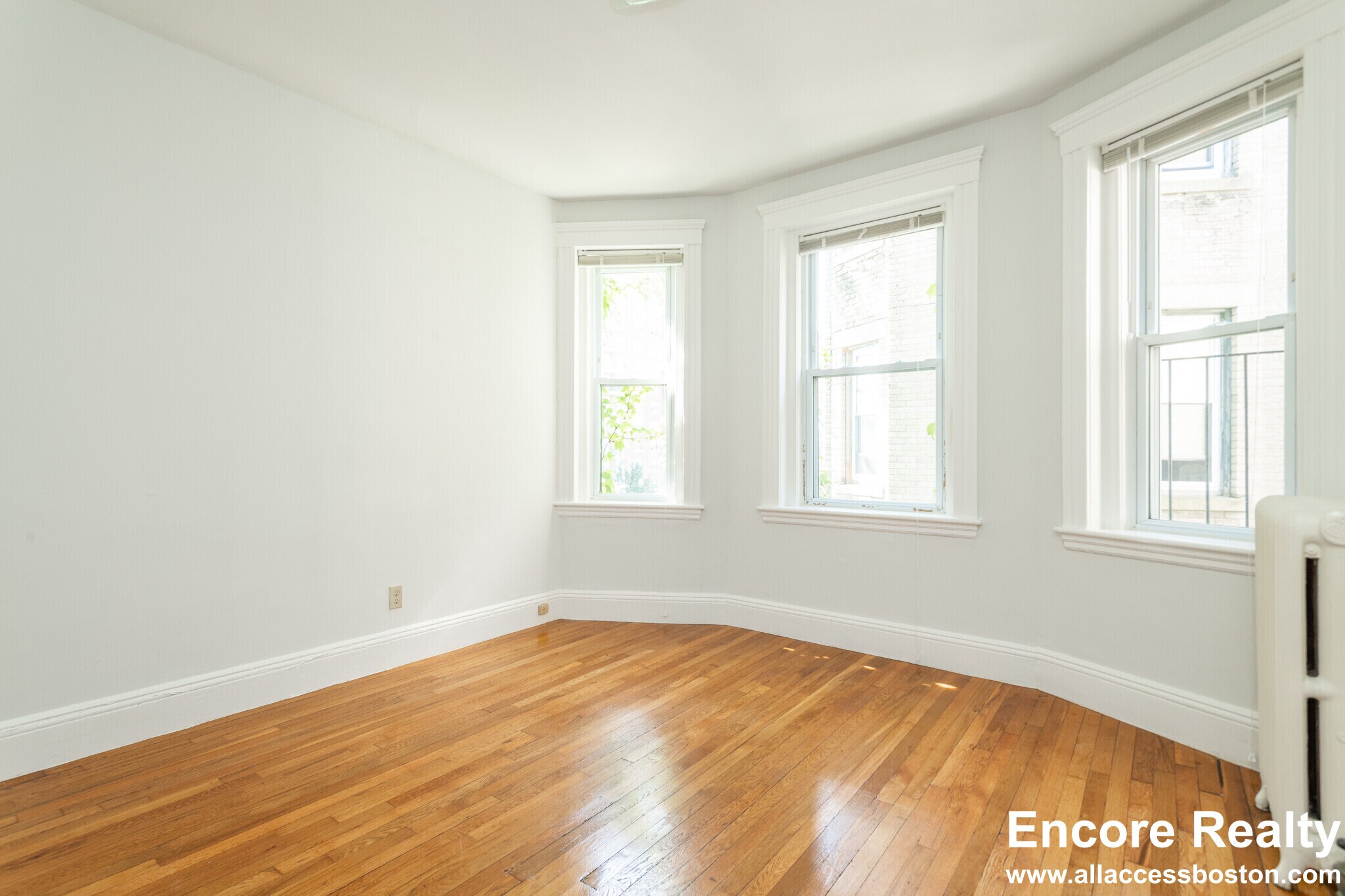 Building Photo - 49 Worthington St