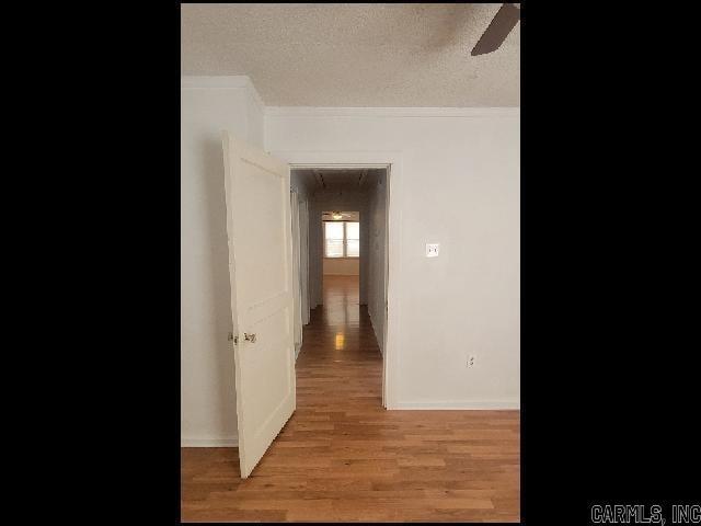 Building Photo - 1705 Lilac Cir