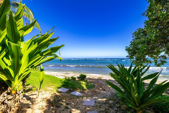 Building Photo - BEACHFRONT