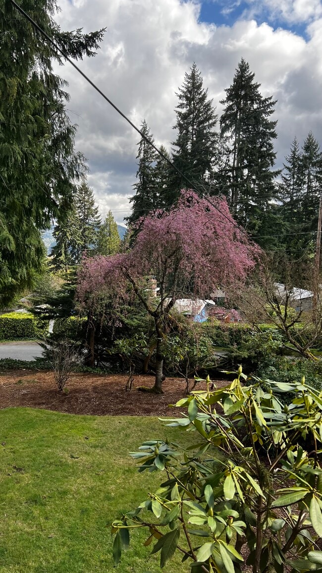 Building Photo - 505 Mt Hood Dr SW