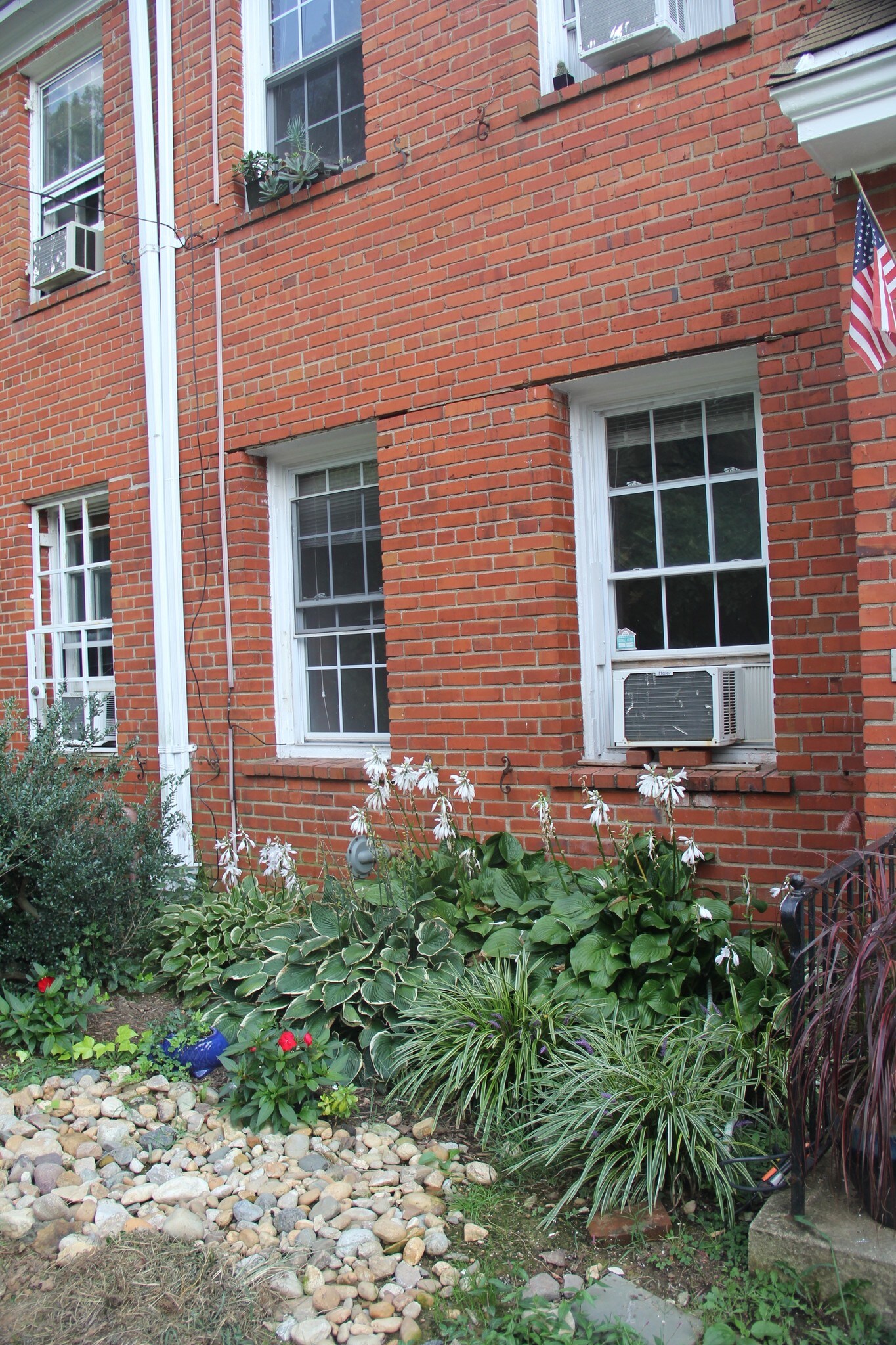 Garden in front of Apt. 1 - 4034 Calvert St NW