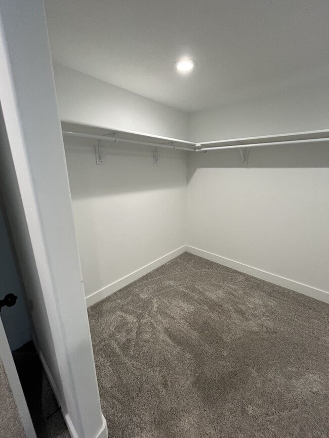 Building Photo - Spacious 3 Bed Downstairs Duplex