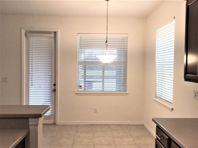 Building Photo - 8625 Turnstone Shore Ln