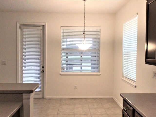 Building Photo - 8625 Turnstone Shore Ln