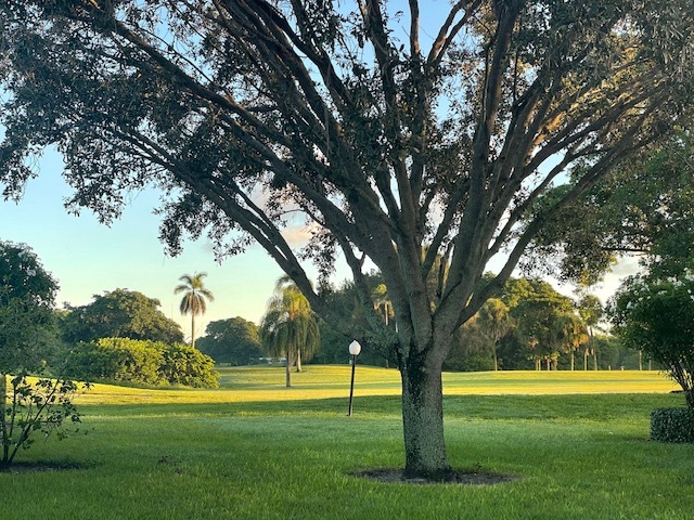 backyard view - 2405 Lowson Blvd