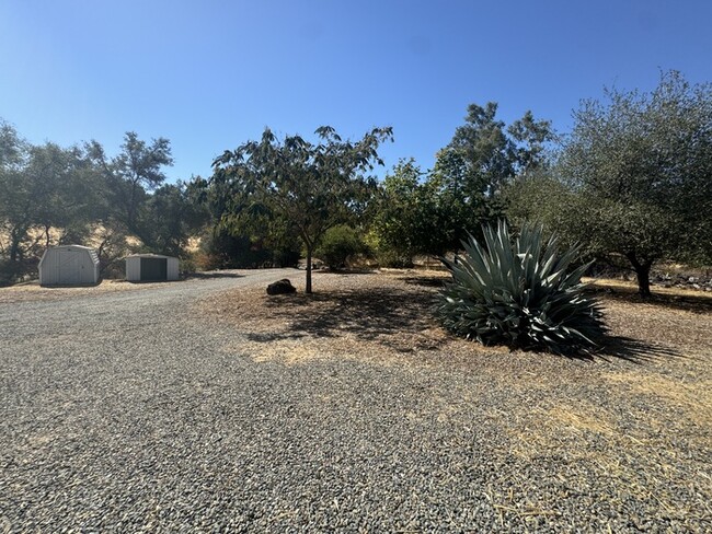 Building Photo - Quiet 3/2 with bonus room in El Dorado Hil...