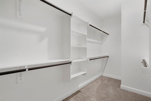 Building Photo - 2337 Mockingbird Ct