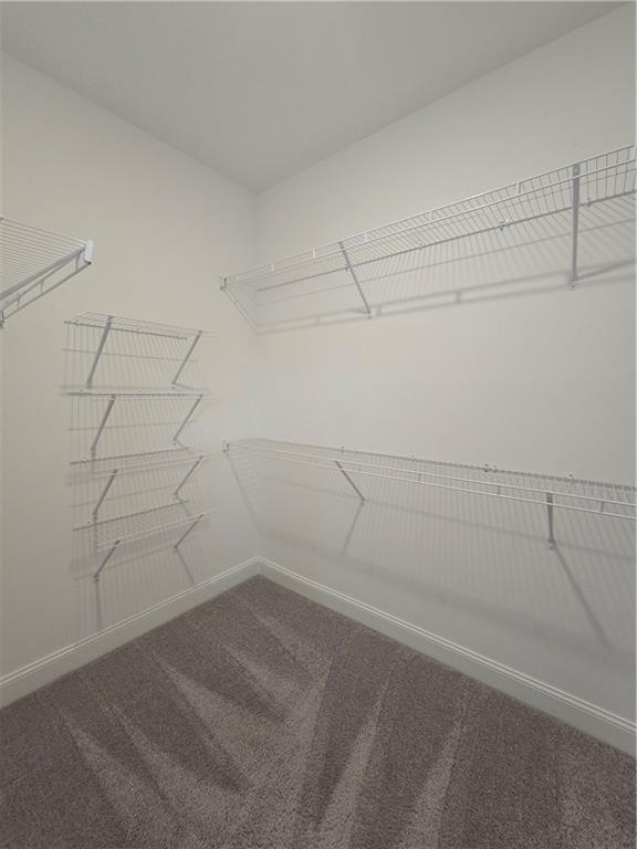 Building Photo - 1701 Wellborn Walk