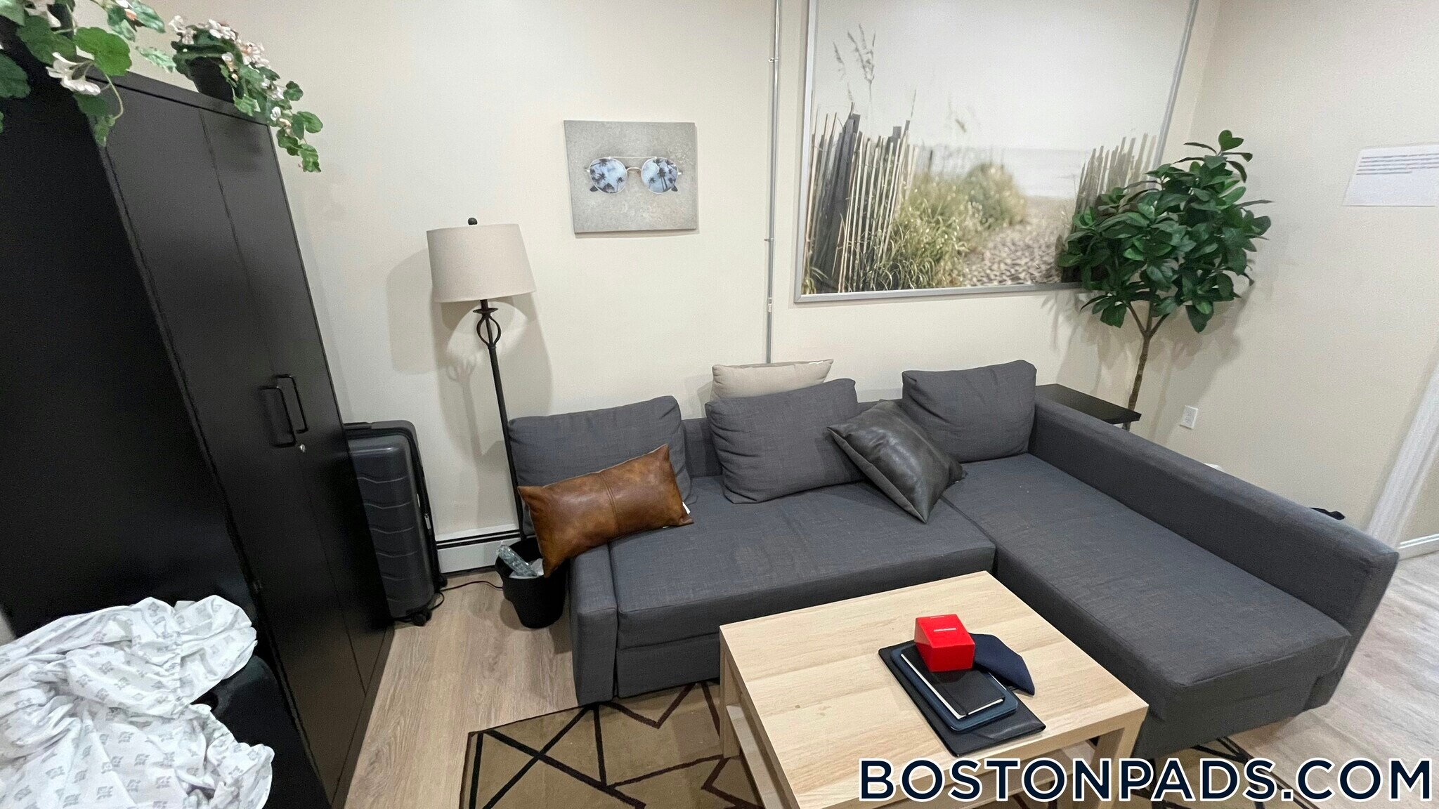 Building Photo - 871 Harrison Ave