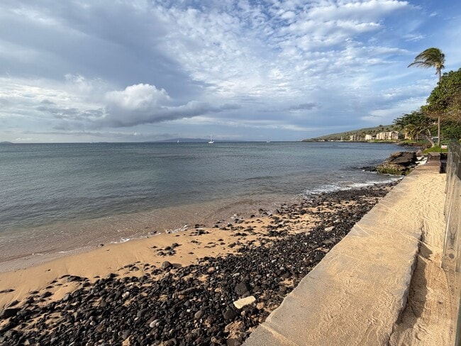Building Photo - Maalaea Oceanfront Furnished One Bedroom