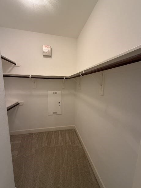 Building Photo - 2906 Baer St