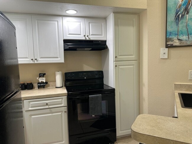 Building Photo - 2/2 Fully Furnished Condo in Orlando