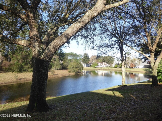 Building Photo - 8716 Canopy Oaks Dr