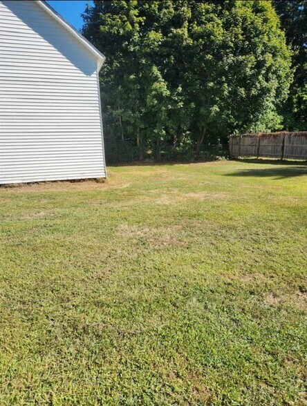 Back yard - 85 Carroll St