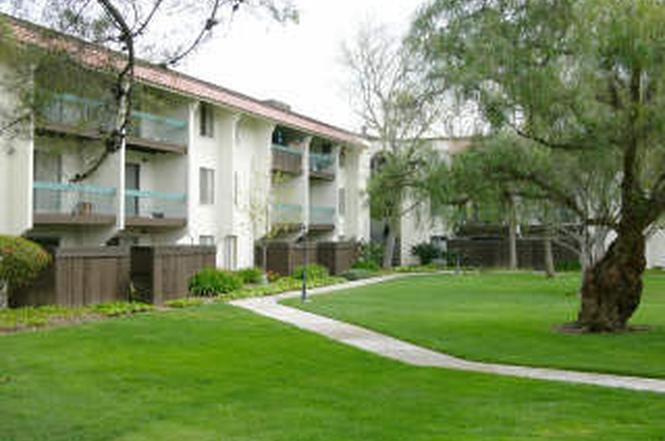 Courtyard - 1720 Halford Ave