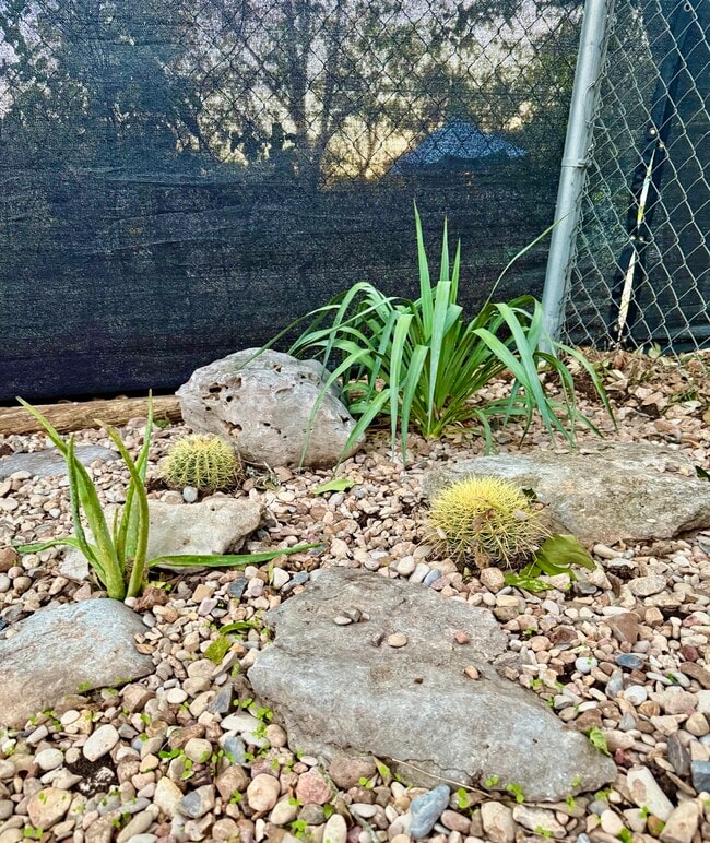 Building Photo - 1000 Hillyer St