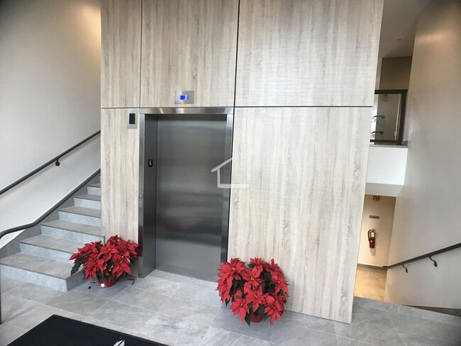 Building Photo - Sunny, Modern, Renovated Allston 2-Bed/2-Bath Steps from Packard's Corner!