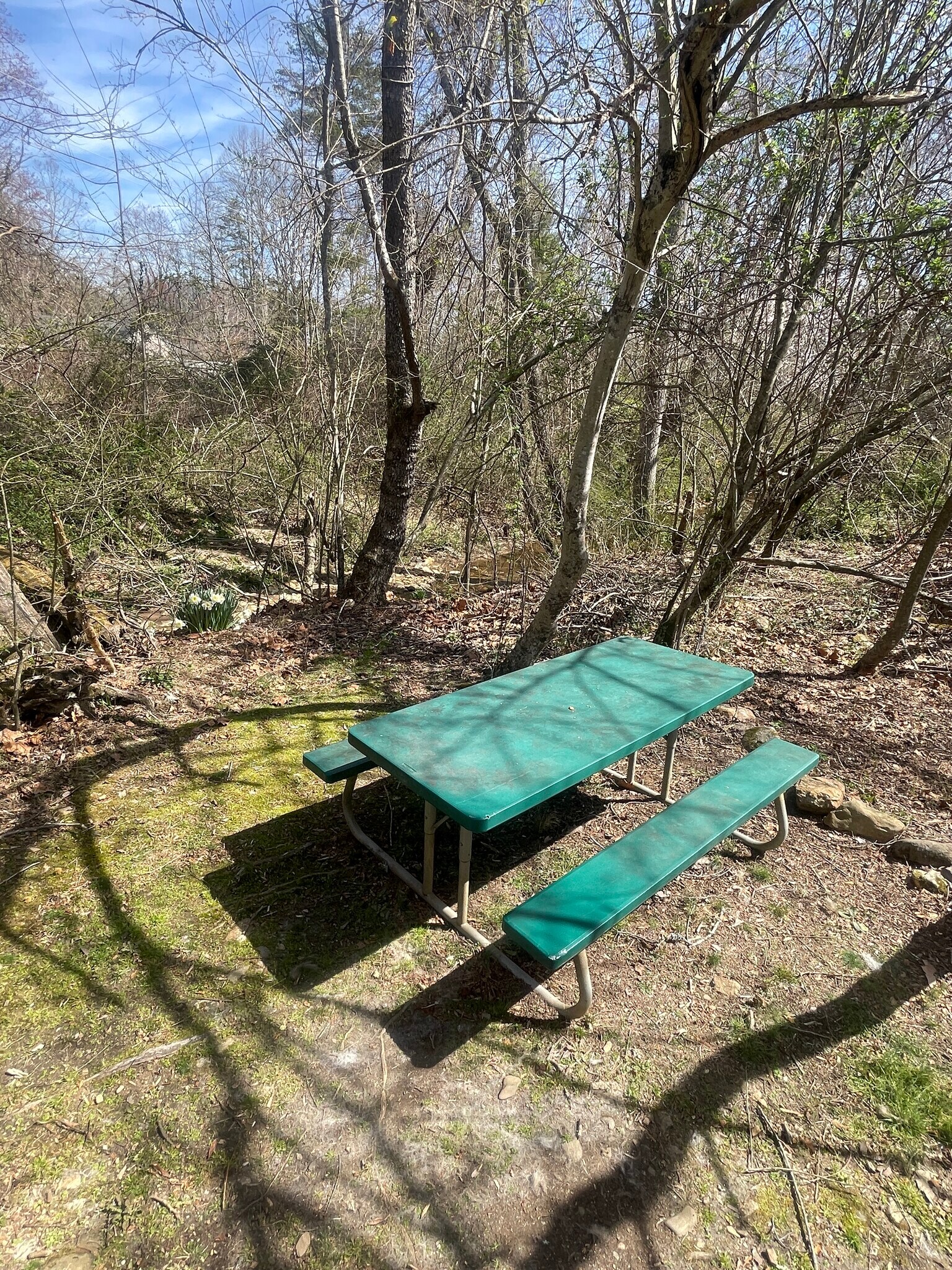 Picnic Table Along Kings Creek - 119 Creekside Dr