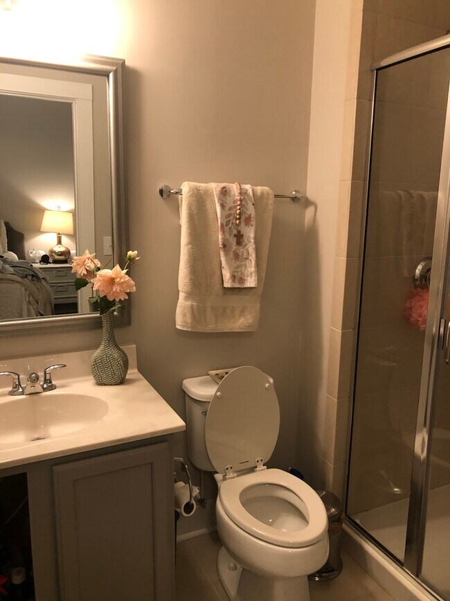 Bottom Floor Full Bathroom - 2801 Stone Rock Dr