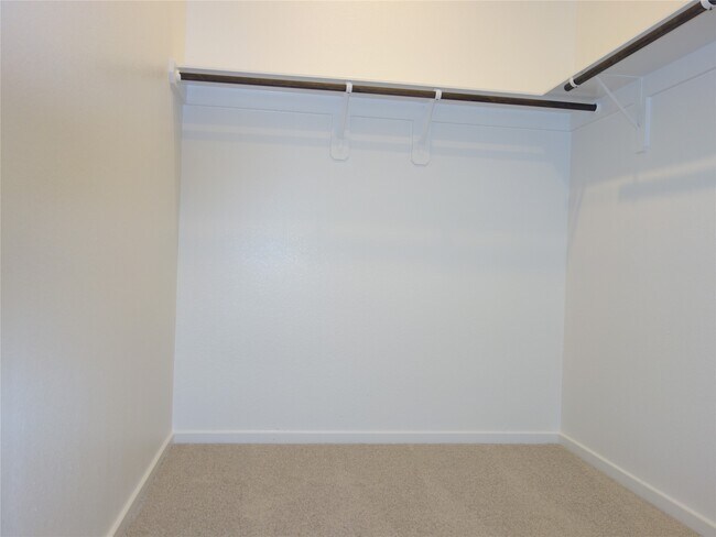 Building Photo - 701 Sand Dollar Dr