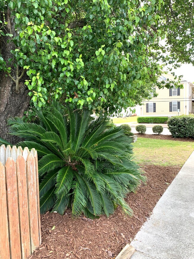 Building Photo - 211 Red Cross St