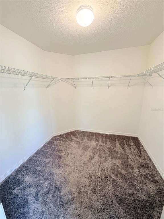 Building Photo - 13049 Thatch Palm Wy