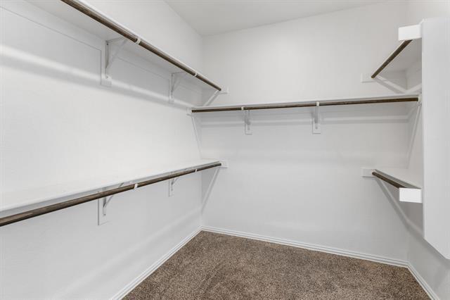 Building Photo - 3841 Wheatland Trl