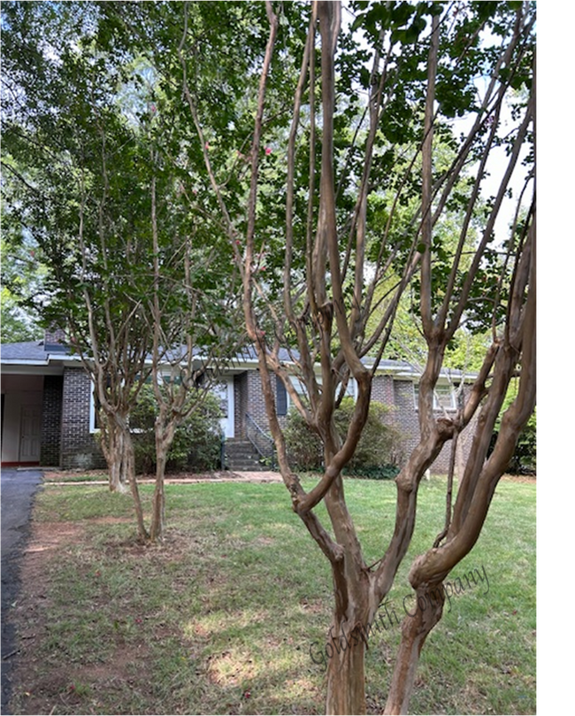 Primary Photo - 9 Sedgefield Dr