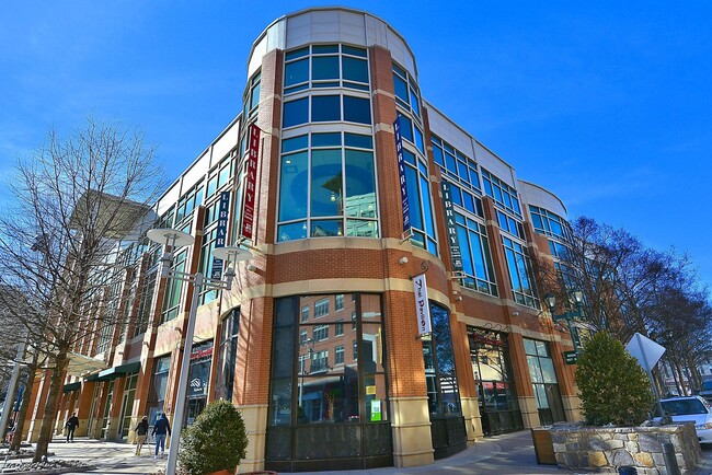 Building Photo - Sunny Studio in Downtown Rockville - ALL U...
