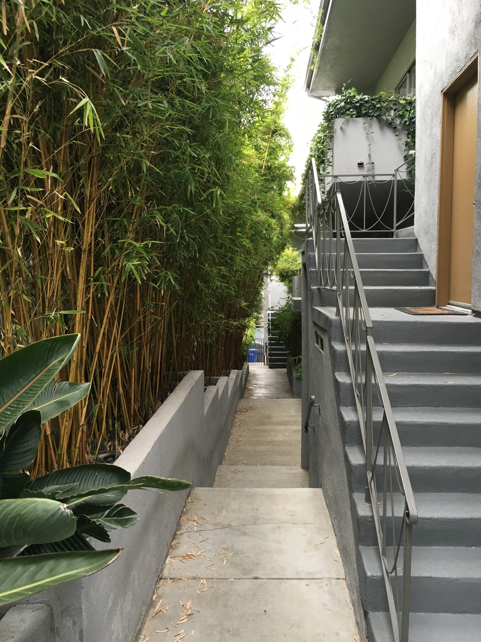 Bamboo Courtyard - 11732 Dorothy St
