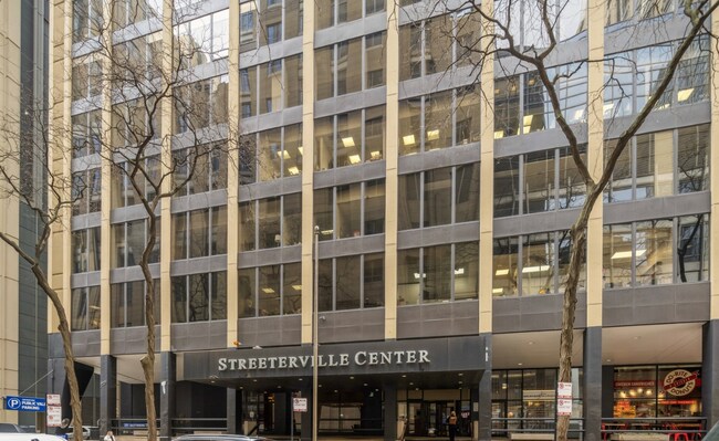 Building Photo - 233 E Erie St